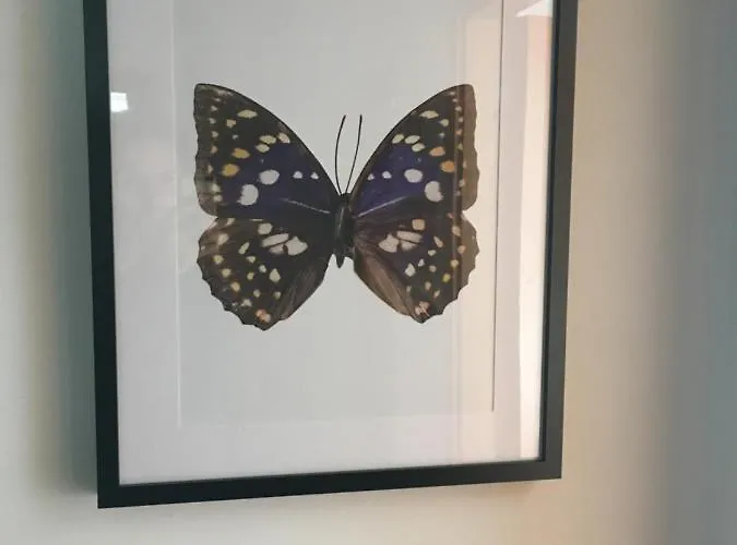 Blackboard House Affittacamere Bari